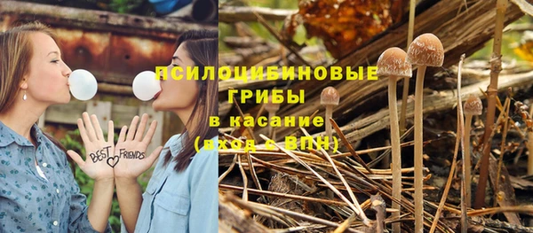 сатива Абдулино