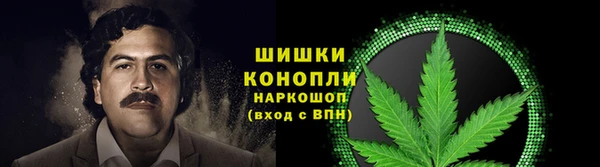 прущая мука Алзамай