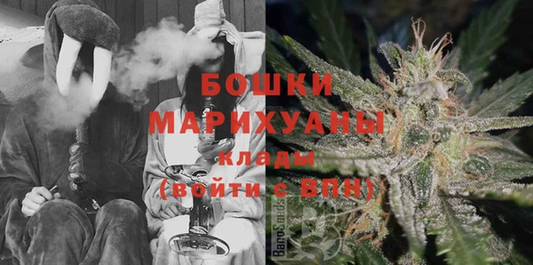 МДПВ Алексин
