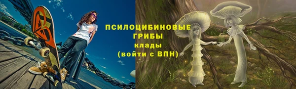 сатива Абдулино