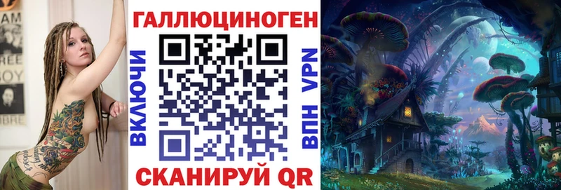 купить   Александров  Галлюциногенные грибы ЛСД 